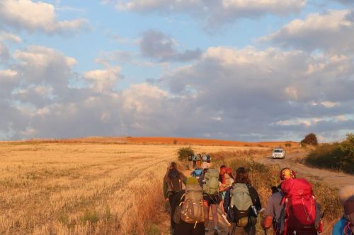 The Camino Is Calling: Will You Answer? 1 wr camino post 01 07 25 1