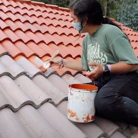 Should I Take a Gap Year in 2021? 1 dear day 1 1