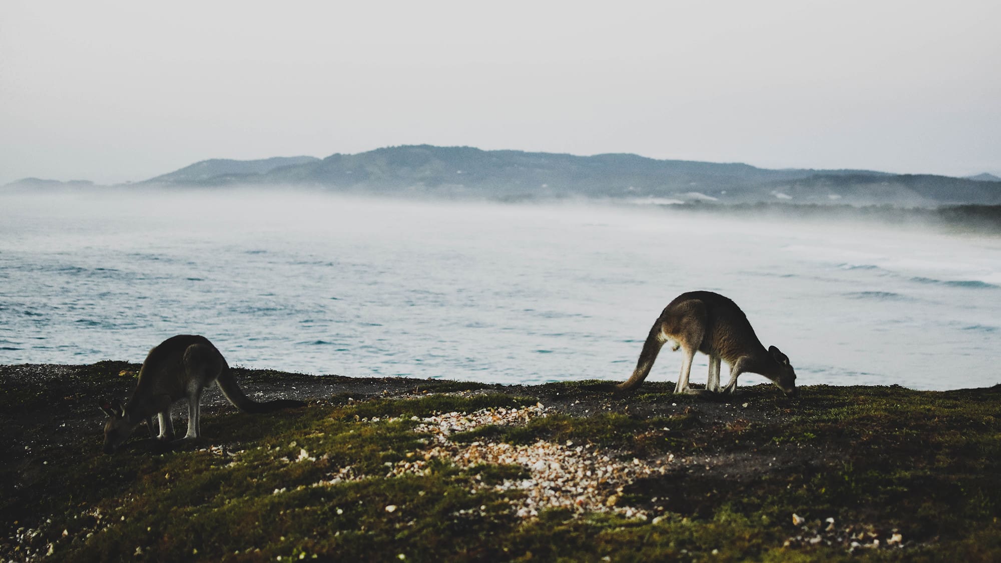 Gap Year | 9 Months | August 2026 19 Australia PatrickRyan