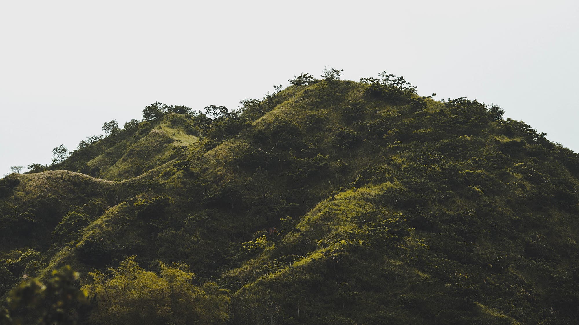 Jamaica | Semesters | June 2026