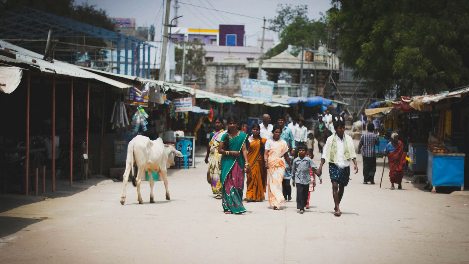 South Asia | Worldrace | January 2025--