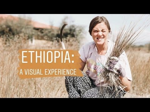 Dear Gap W... 2 ethiopia