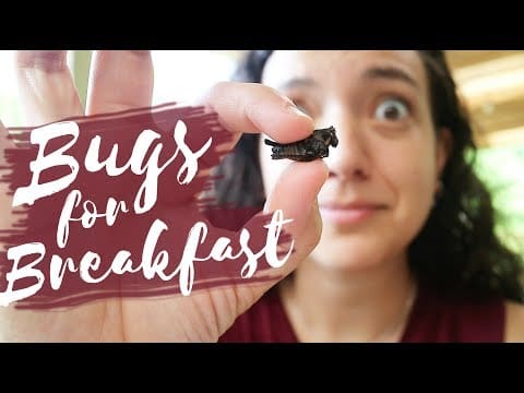 Training Camp 5 World-Race-One-Second-a-Day-2020-Image