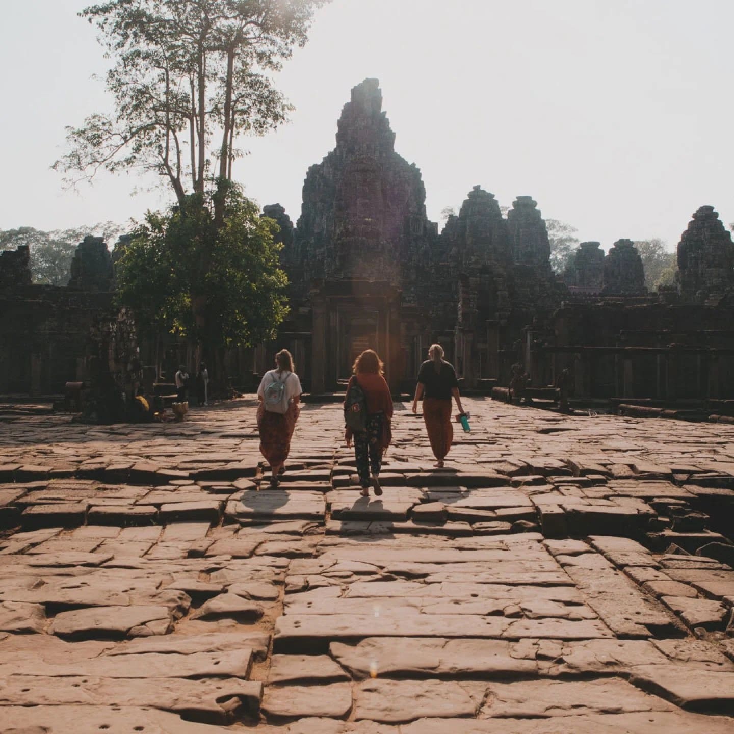 WR InTheNewsReviews Header cropped