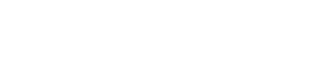 World Race