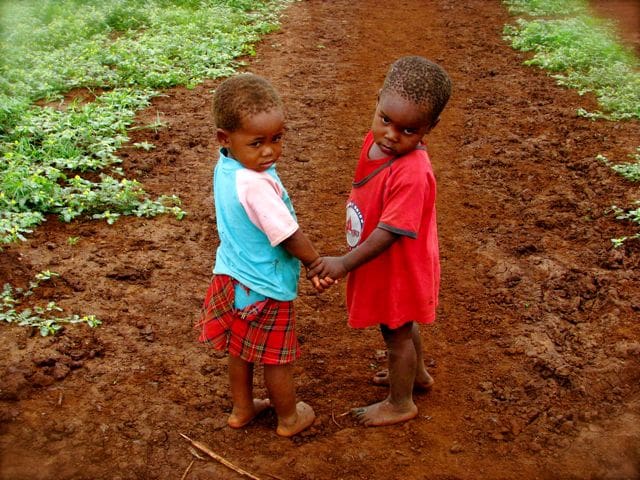 Gap Year | Haven | August 2027