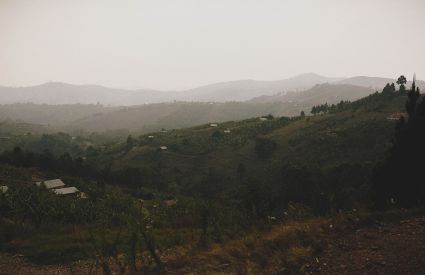 Countries 96 Uganda JenOlson 084fb235