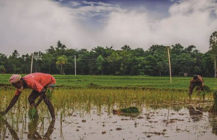 Countries 7 Bangladesh FardouseLomatJahanRumpa Unsplash 0e1bb5ad