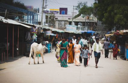 Countries 86 India DougLinstedt 1ed7a76b