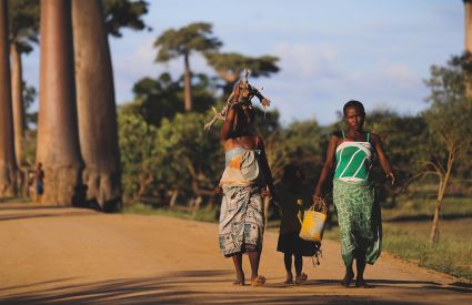 Countries 60 Madagascar 2PhotoPots Unsplash 4661d88a