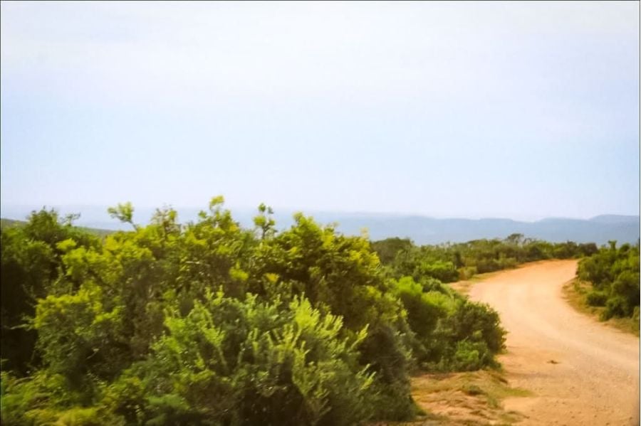 south africa country 11 d0d2e597